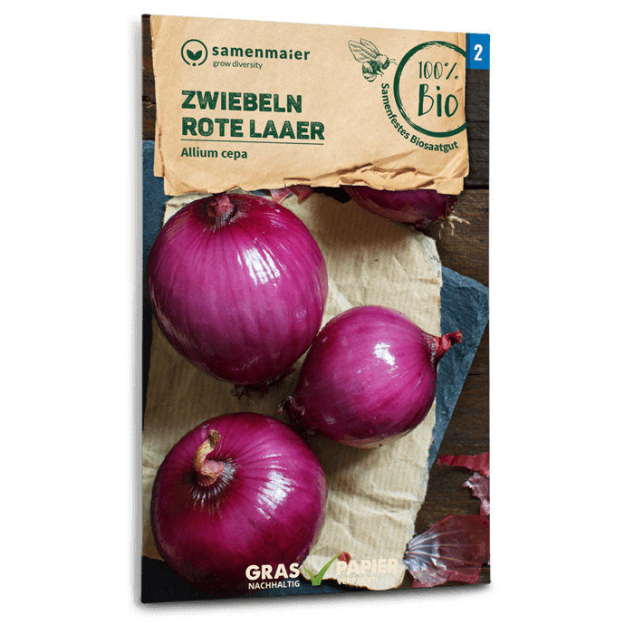 Bio-Zwiebeln 'Rote Laaer'