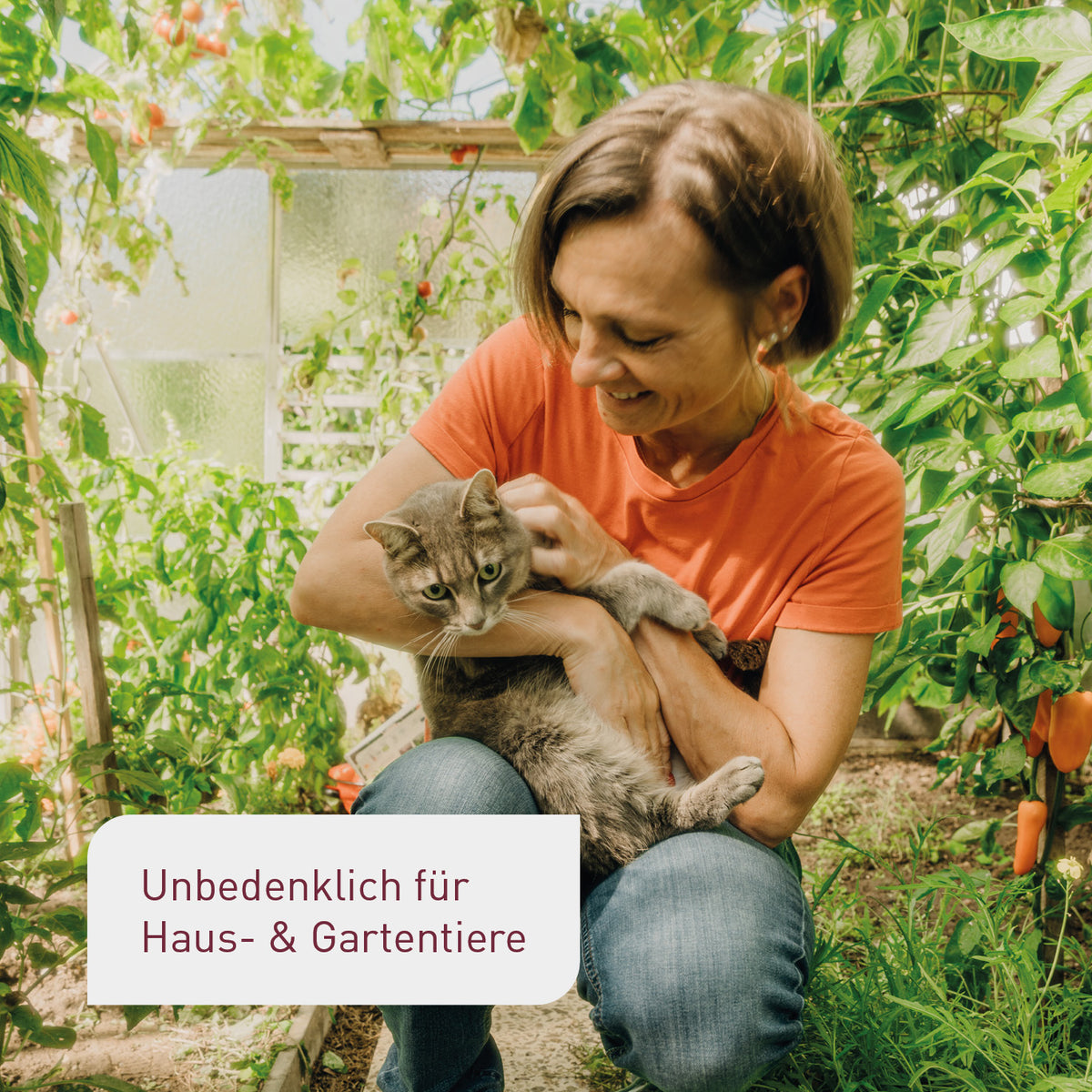 Bio-Ackerschachtelhalm Extrakt für Haustierbesitzer