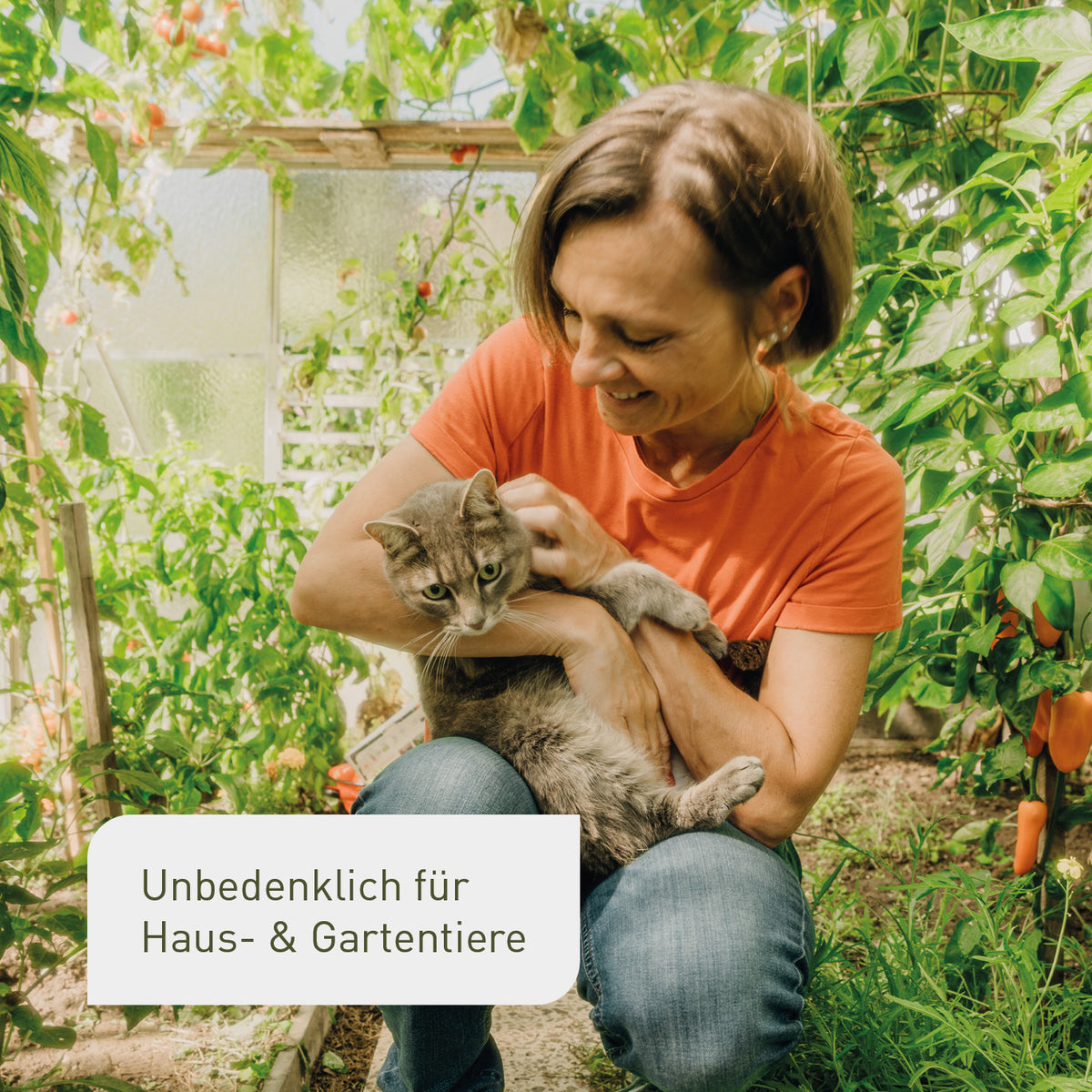 Bio-Brennnessel Extrakt für Haustierbesitzer