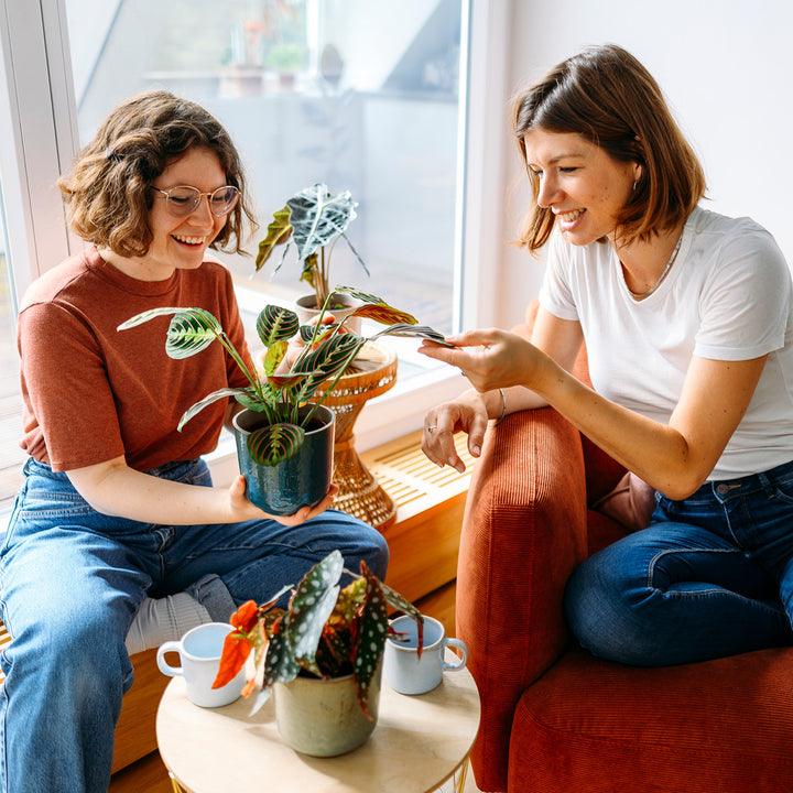 Frauen mit Blattschmuck-Zimmerpflanzen im Wohnzimmer