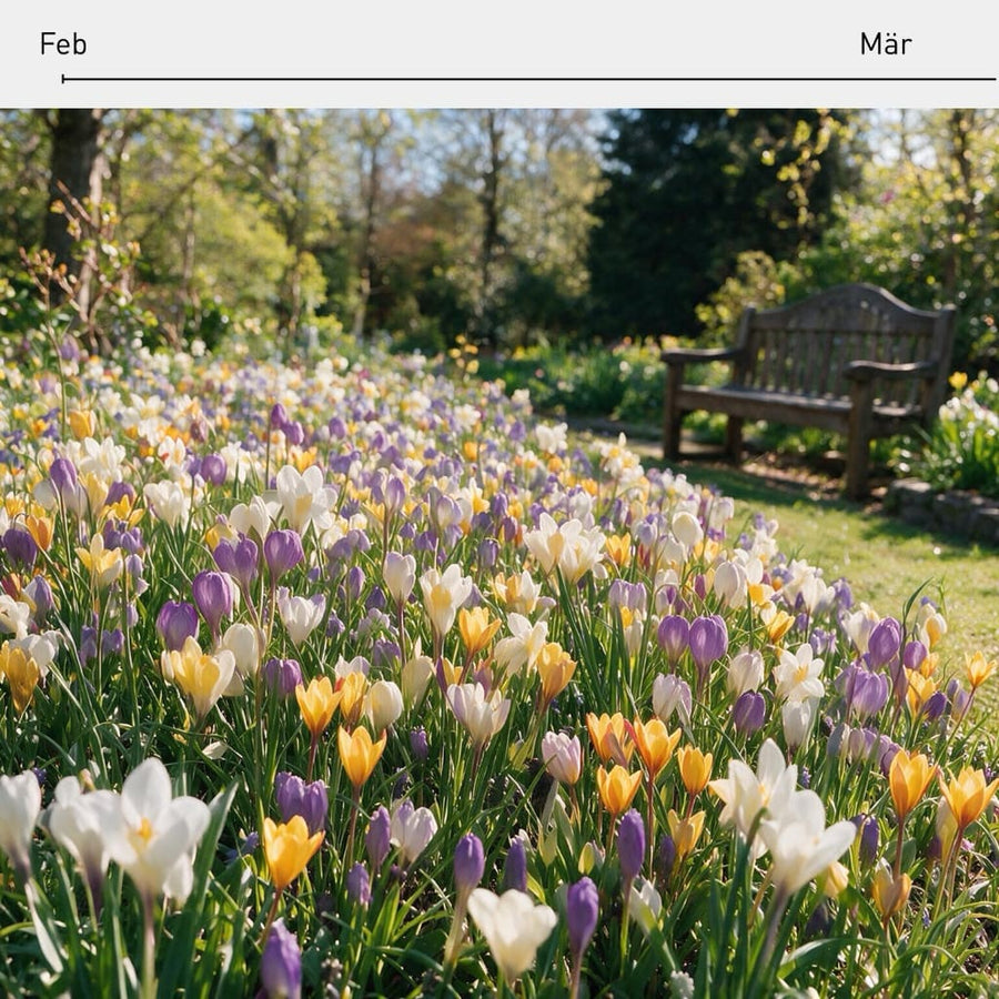 Blumenzwiebel-Mix 'Scarlet Spring Parade'