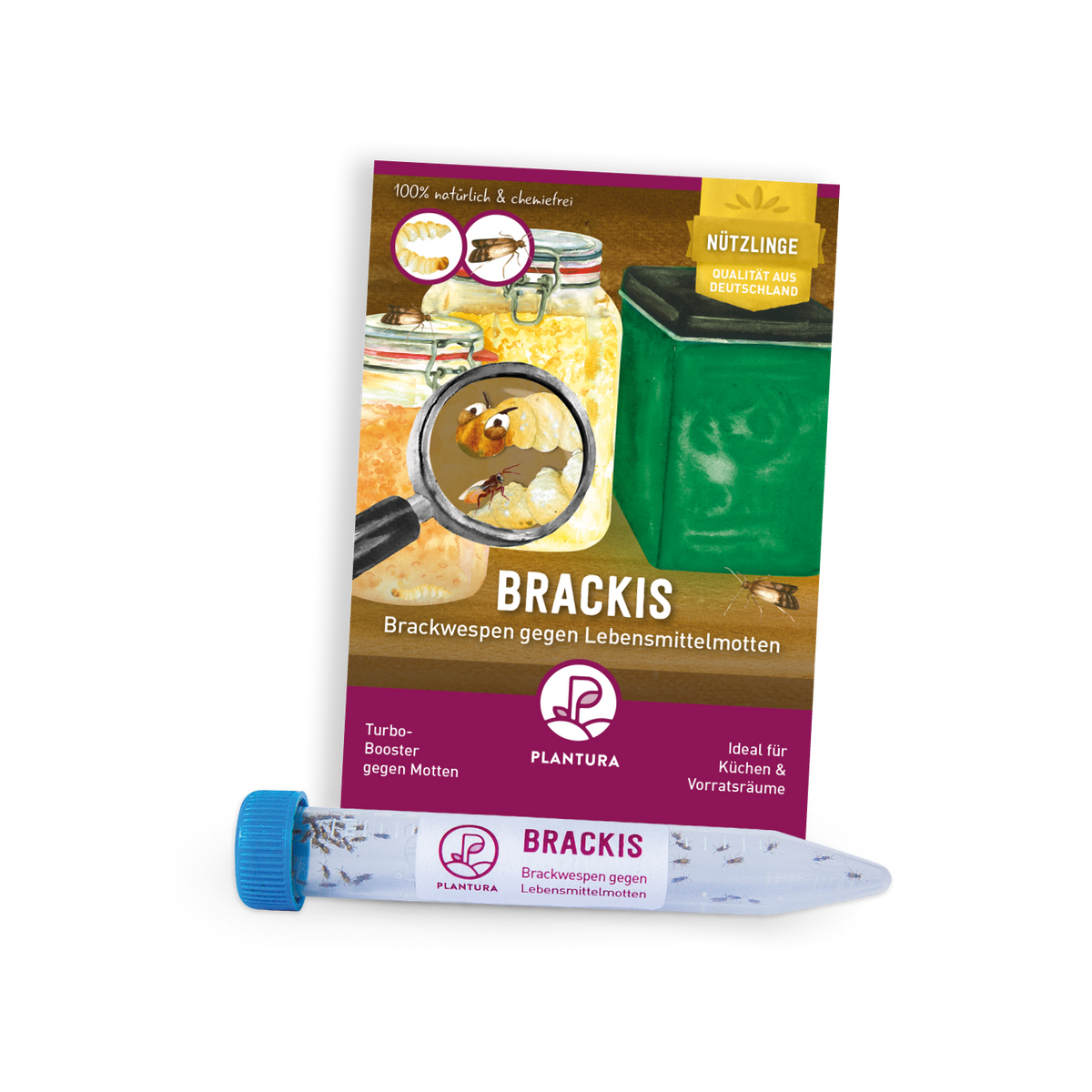 Brackis - Brackwespen gegen Lebensmittelmotten