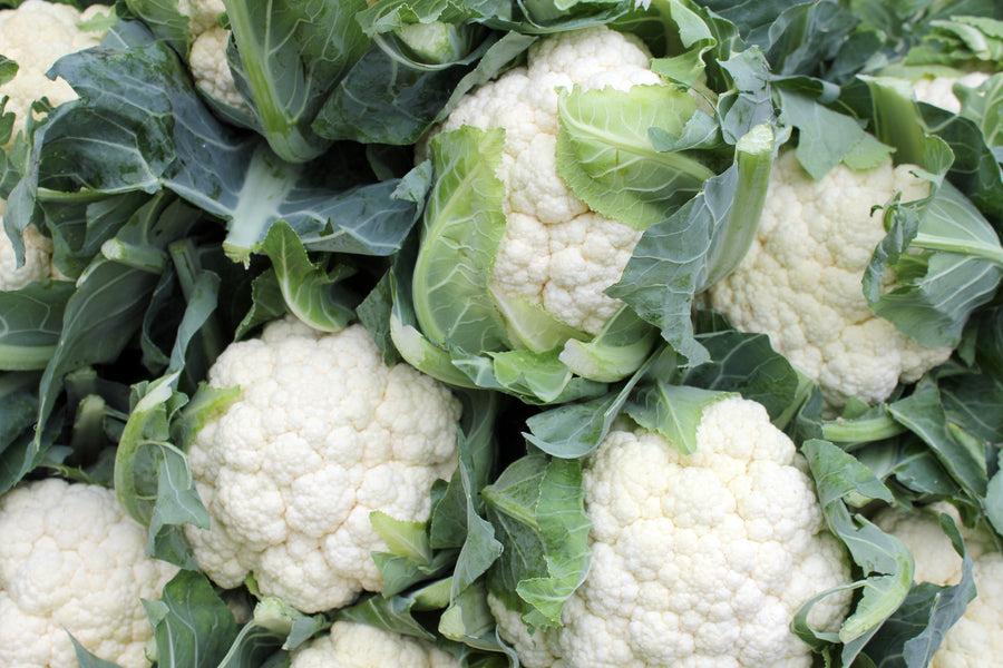 Brassica oleracea var. botrytis 'Neckarperle'