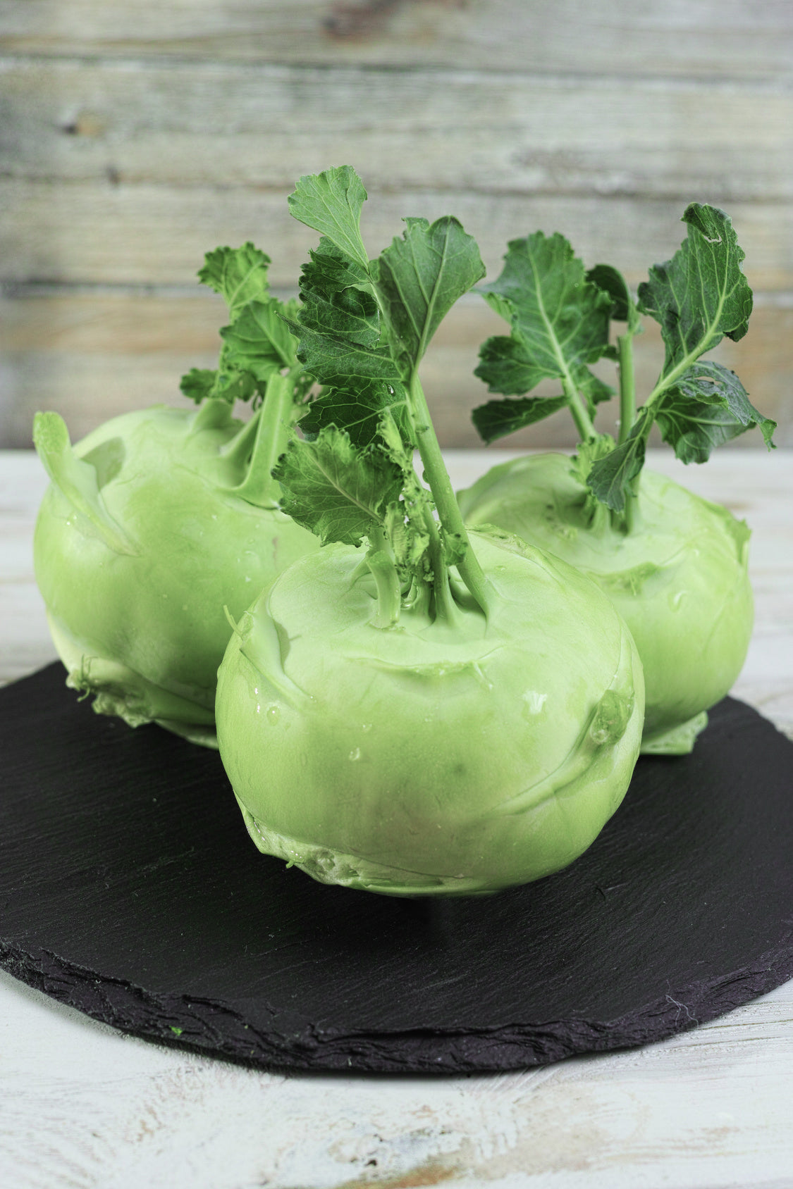 Brassica oleracea var. gongylodes 'Superschmelz'