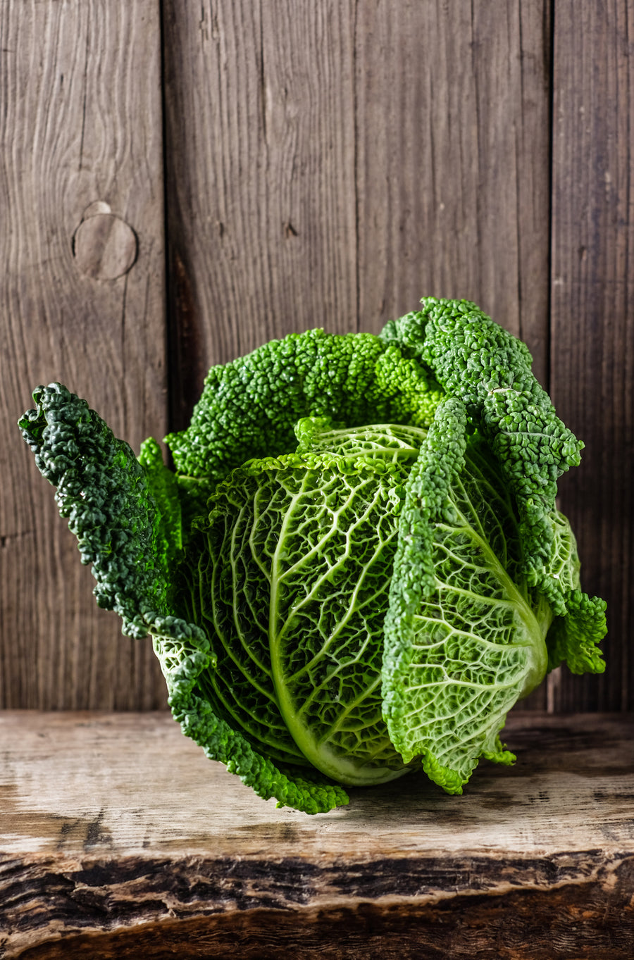 Brassica oleracea var. sabauda 'D'