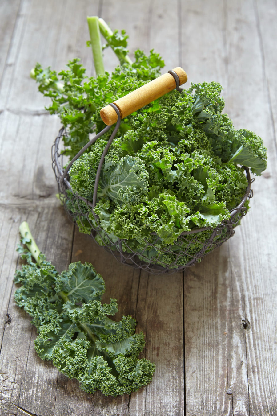 Brassica oleracea var. sabellica 'Lage Moskrul'