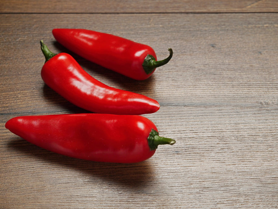Capsicum annuum 'Gorria'