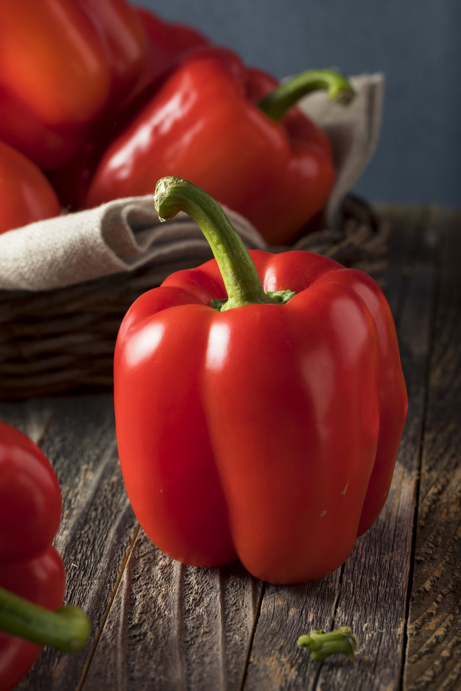 Capsicum annuum 'Yolo Wonder'