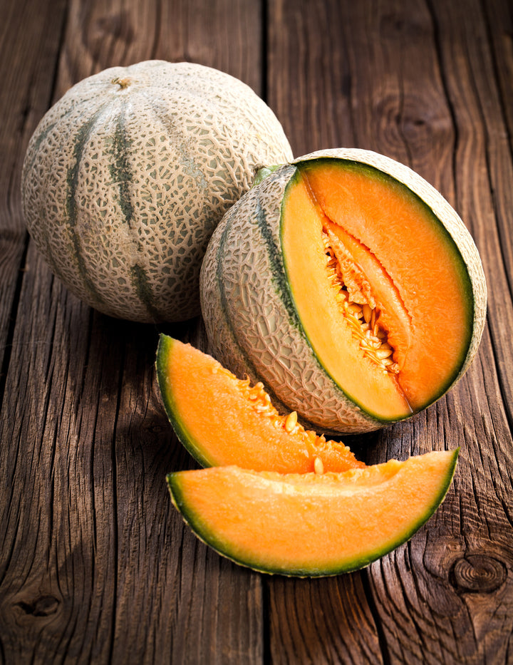 Cucumis melo L. 'Petit gris de Rennes'