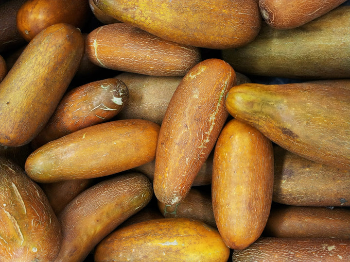 Cucumis sativus 'Salome'