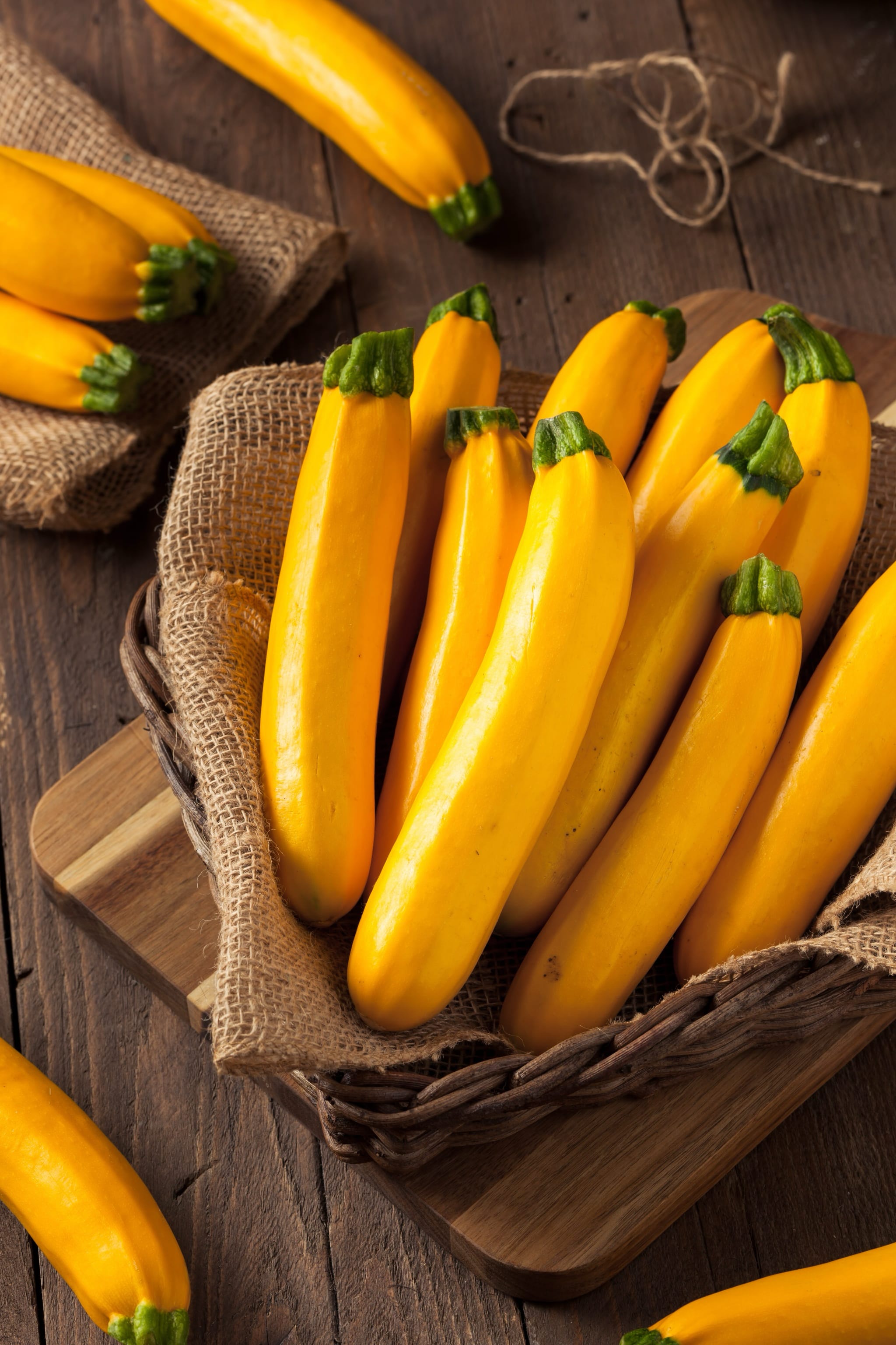 Cucurbita pepo 'Gold Rush'
