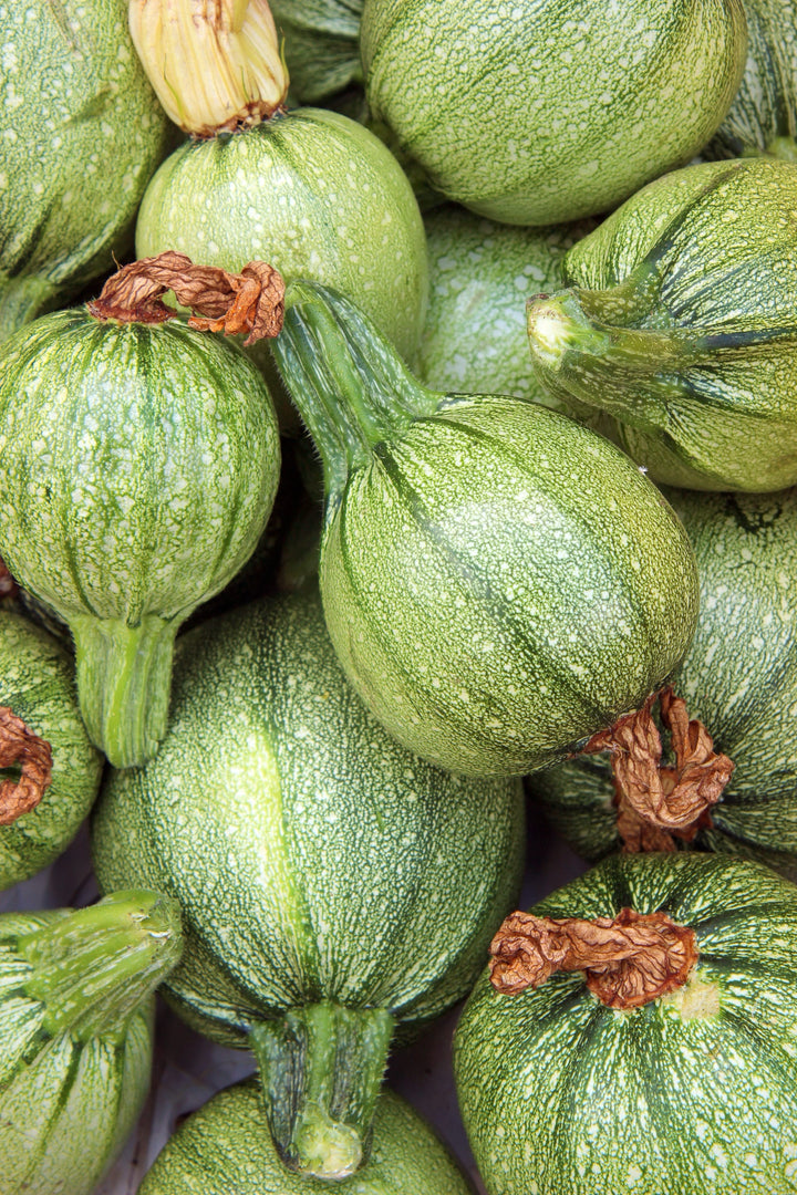 Cucurbita pepo 'Runde von Nizza'