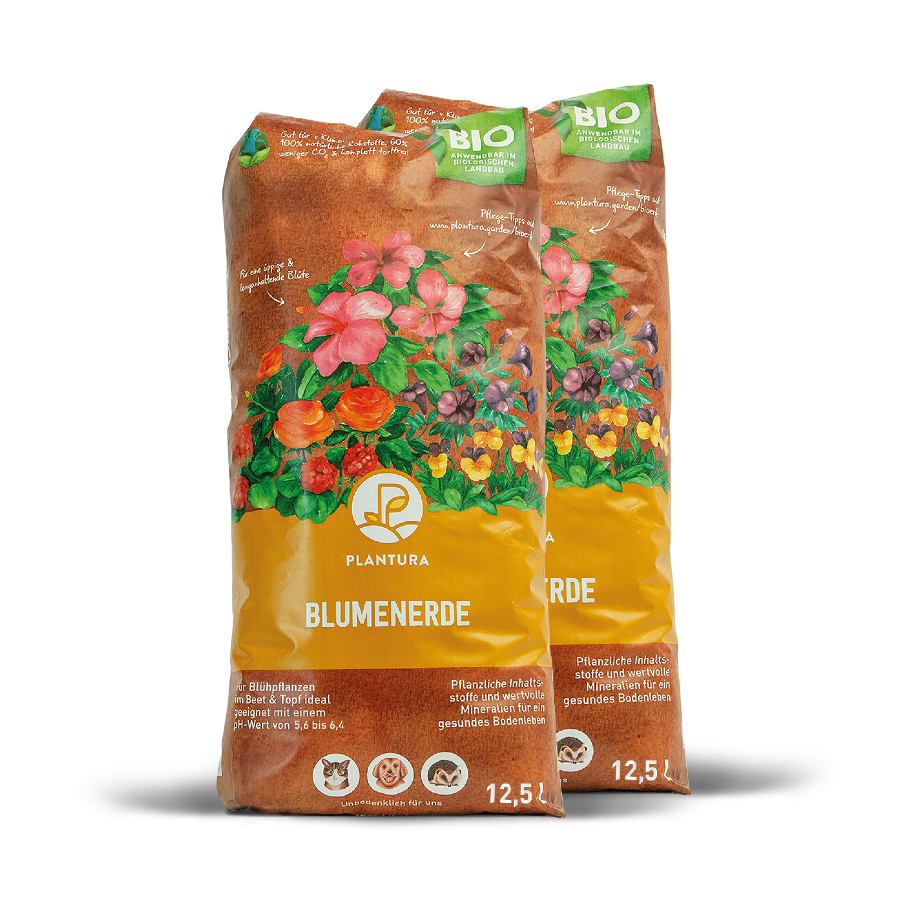 Einpflanz-Set für Balkonbox