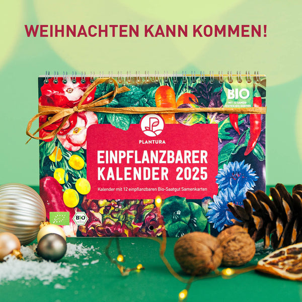 Einpflanzbarer Kalender 2025 als Weihnachtsgeschenk