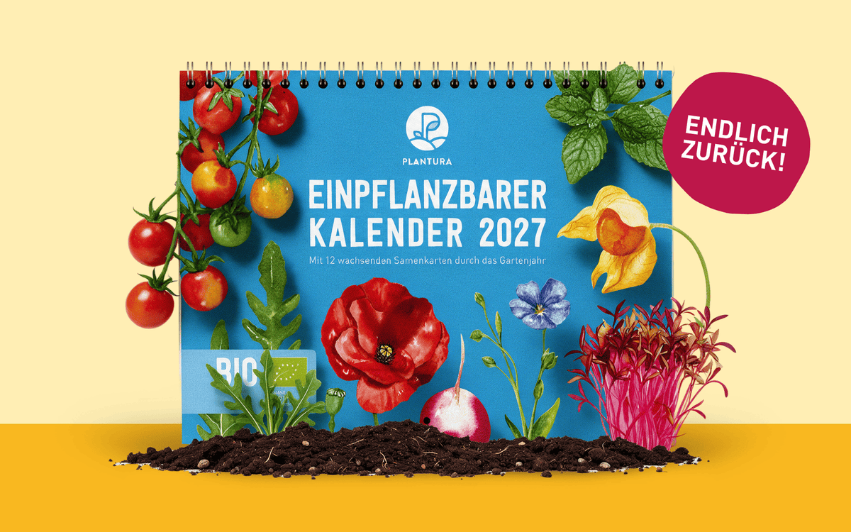 Plantura Einpflanzbarer Kalender 2027 mit Samenkarten in Erde