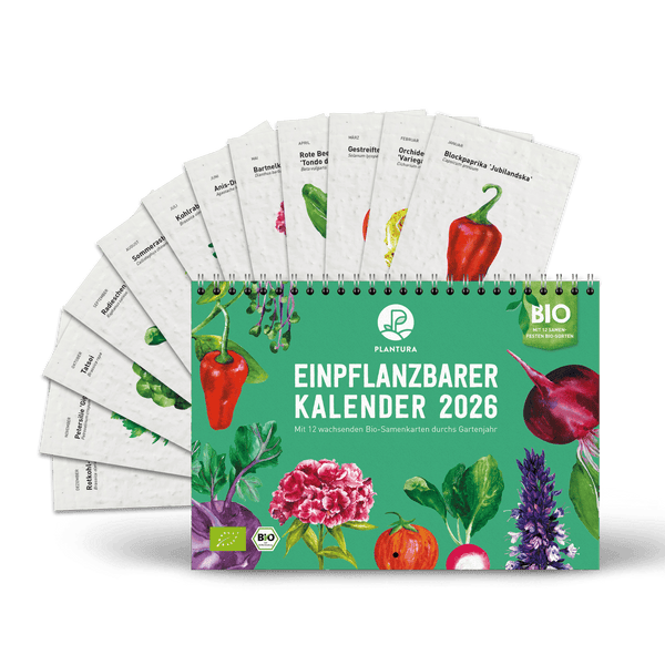 Einpflanzbarer Kalender von Plantura