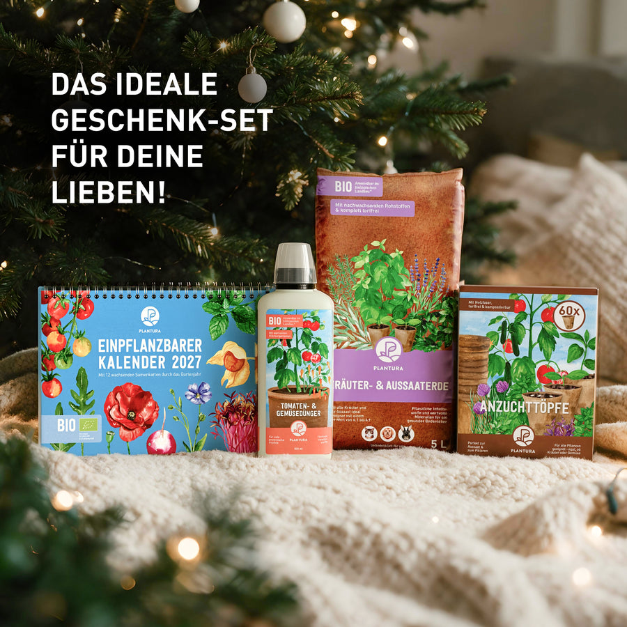 Plantura Kalender-Set als Geschenkidee zu Weihnachten