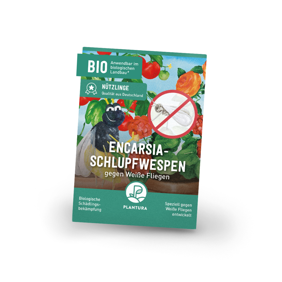 Plantura Schlupfwespen gegen Weiße Fliegen