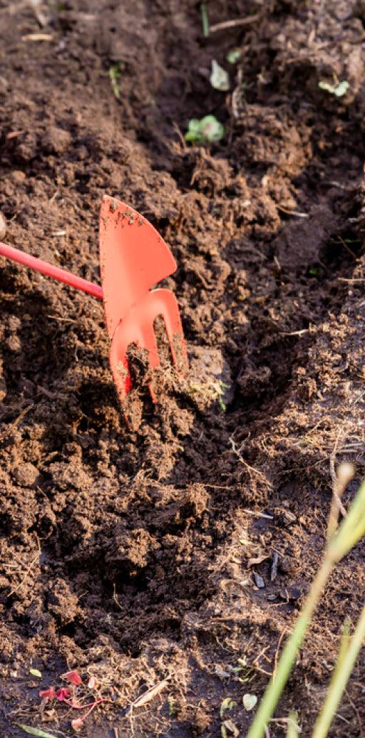 Erde im Gartenbeet wird mit einer roten Gartenhacke aufgelockert