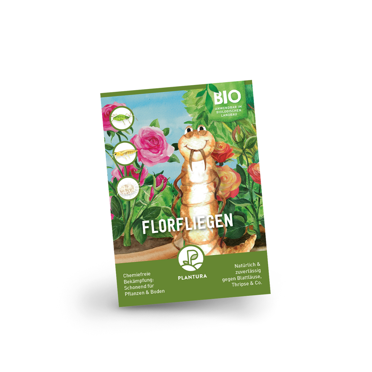 Plantura Florfliegen gegen Blattläuse