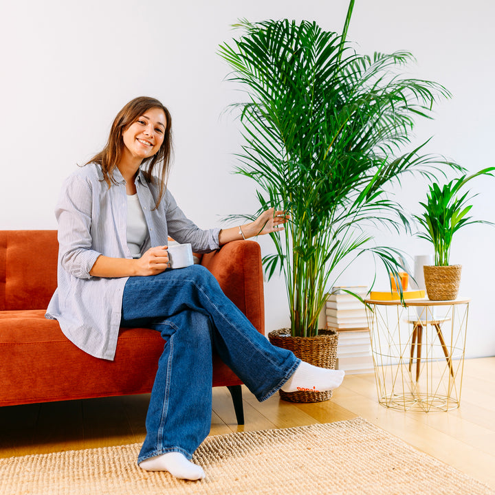 Frau mit Dypsis lutescens als XXL-Zimmerpflanze