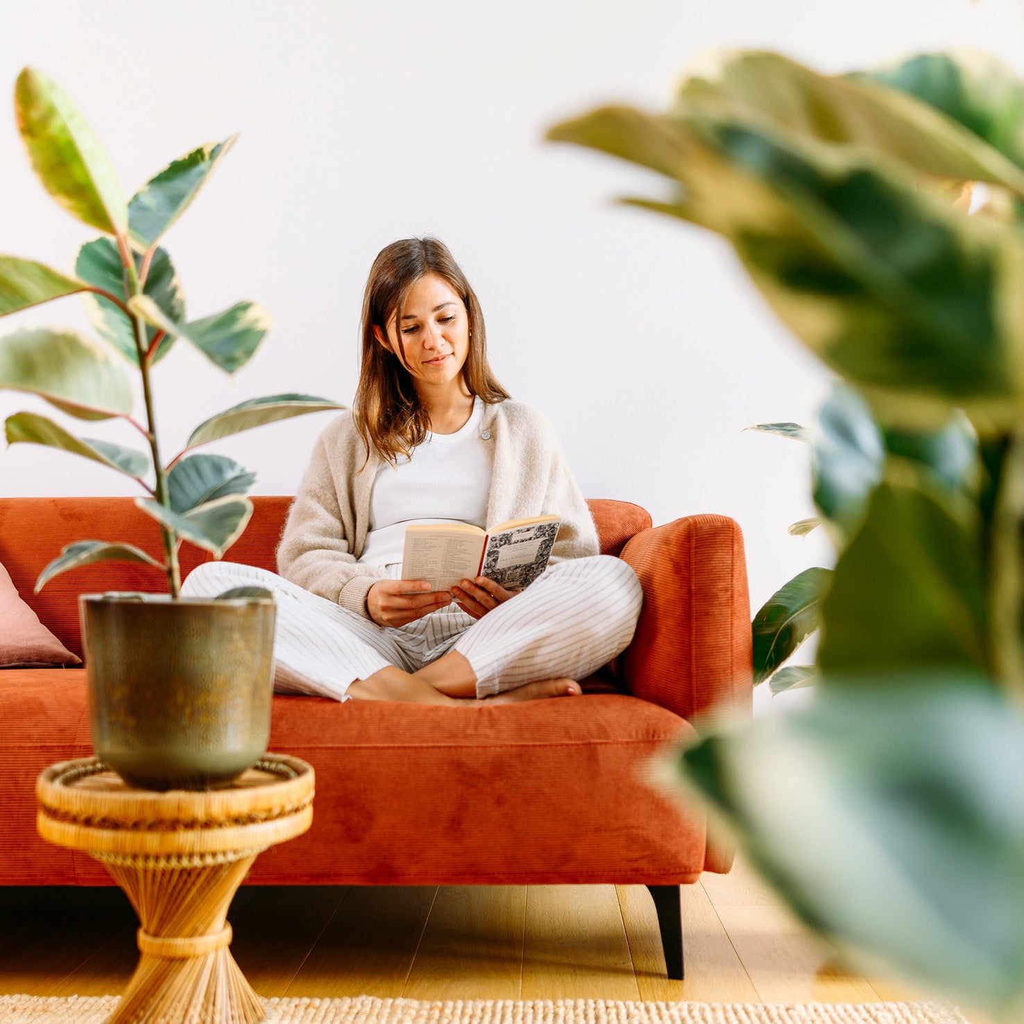 Frau mit Ficus elastica 'Tineke' im Wohnzimmer