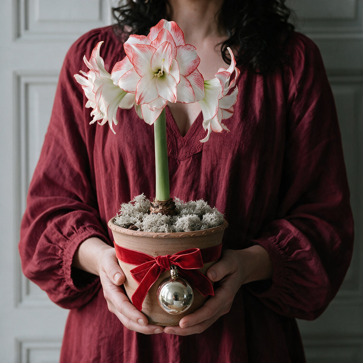 Frau hält die blühende gefüllte Amaryllis Aphrodite im dekorativen Tontopf