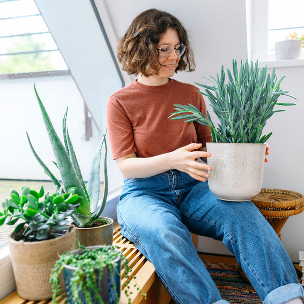 Frau mit sukkulenten Zimmerpflanzen im Wohnzimmer