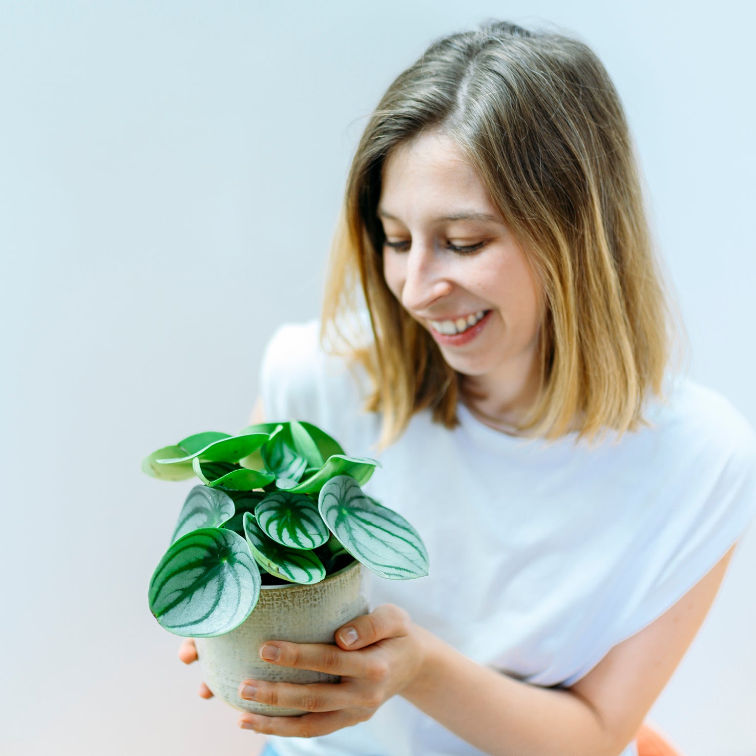 Frau mit Wassermelonen Peperomie als Zimmerpflanze