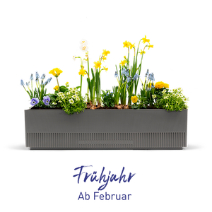 Balkonbox Frühjahrs-Kollektion ab Februar verfügbar
