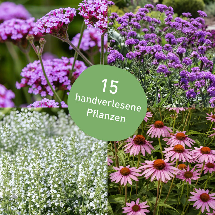 Bienenfreundliches Pflanzen-Set mit 15 Stauden