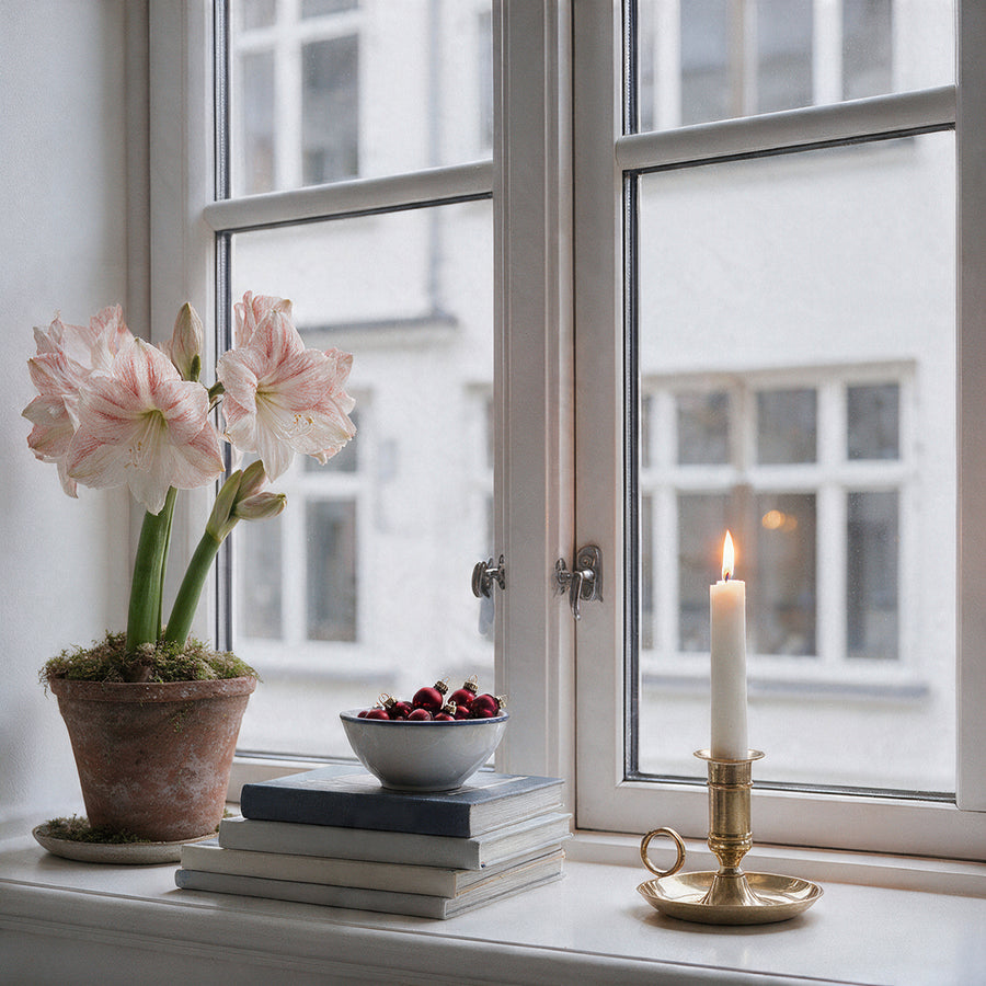 Gefüllte Amaryllis White Amadeus als stilvolle Tischdekoration neben Kerzen
