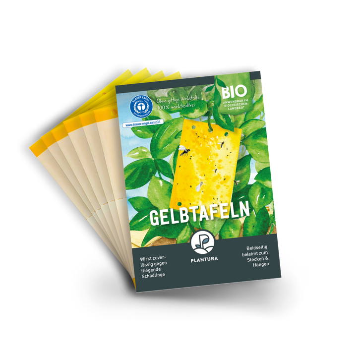 Gelbtafeln von Plantura