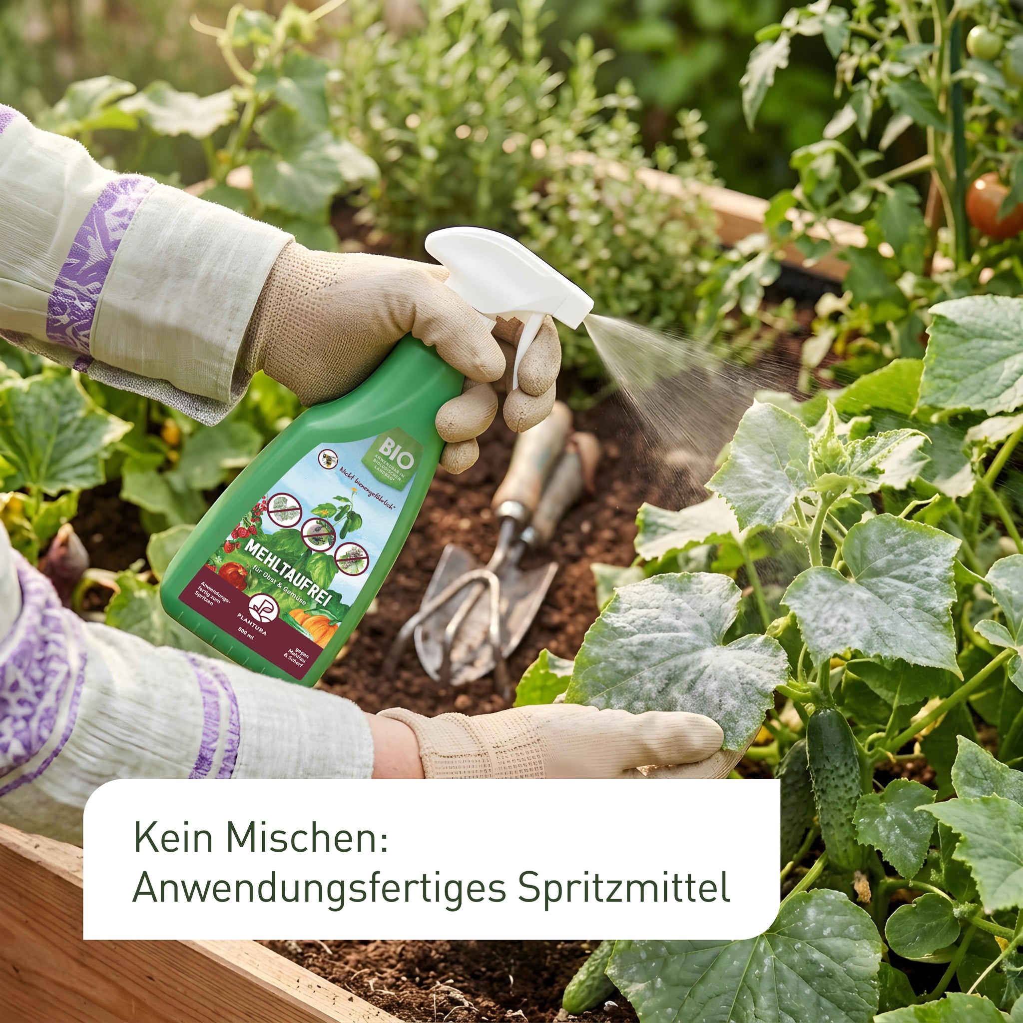 Anwendungsfertiges Pilzfrei-Mittel für Gemüse und Obst