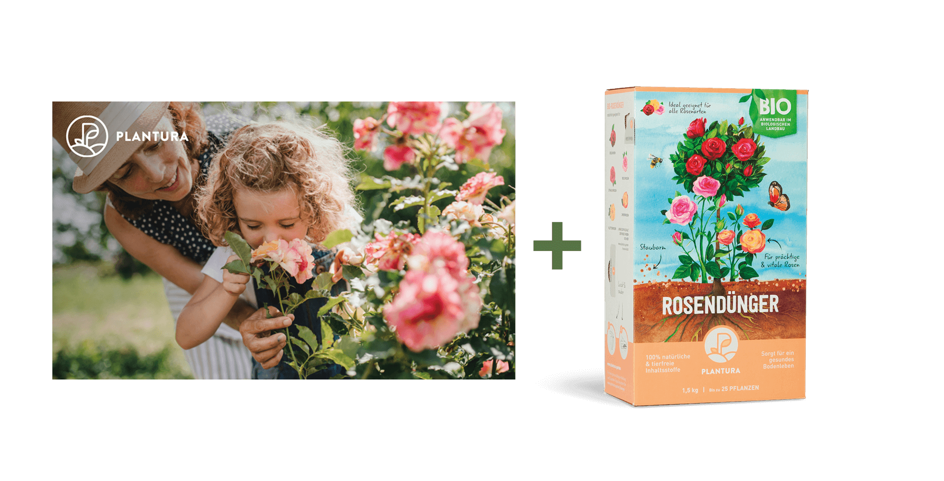 Geschenkgutschein mit Rosen-Motiv und Bio-Rosendünger