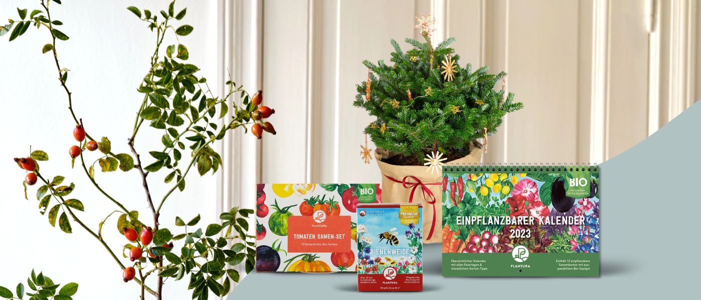 Nachhaltige Weihnachtsgeschenke von Plantura