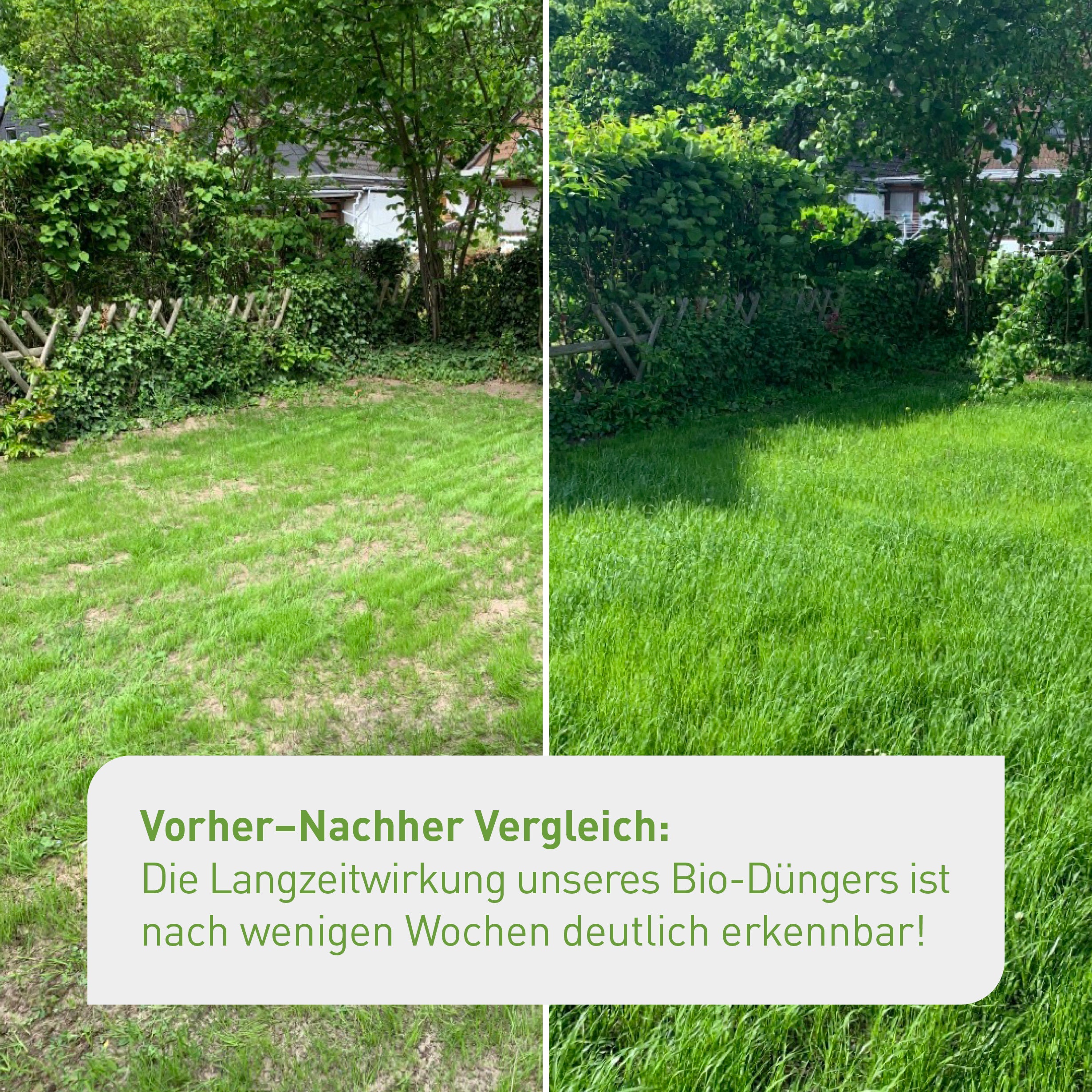 Bio-Rasendünger kaufen
