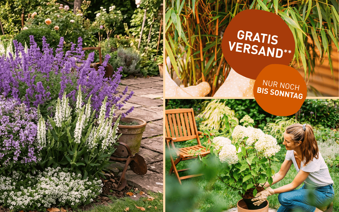Gratis Versand Aktion