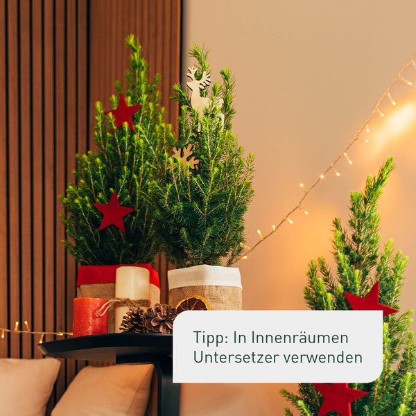 Größe des geschmückten Mini-Weihnachtsbaums