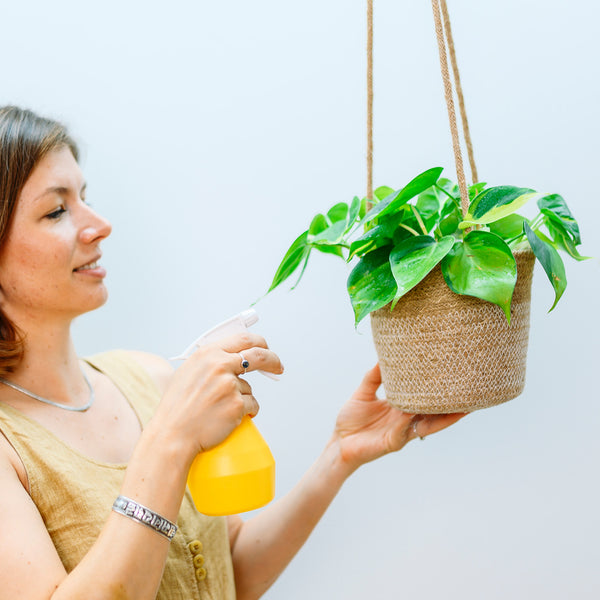 Frau besprüht Zimmerpflanze in Hängetopf