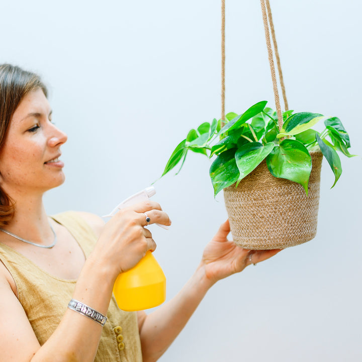 Frau besprüht Zimmerpflanze in Hängetopf