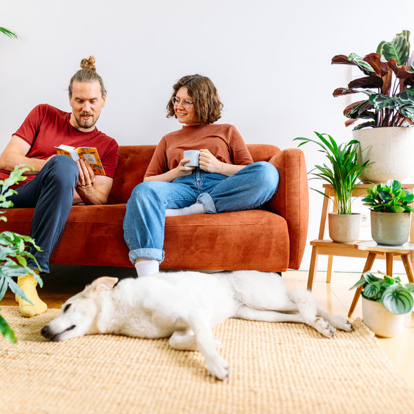 Mann und Frau mit Hund und Zimmerpflanzen