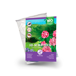HB-Nematoden gegen Dickmaulrüssler & Engerlinge