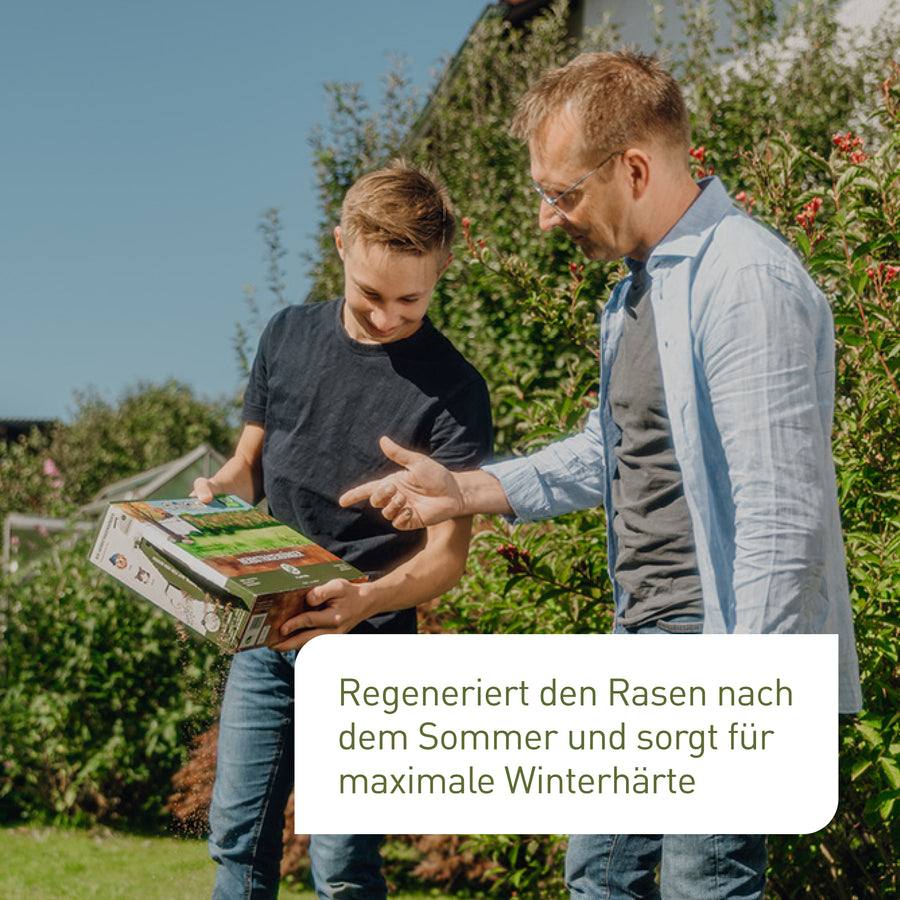 Vater und Sohn düngen Rasen im Herbst