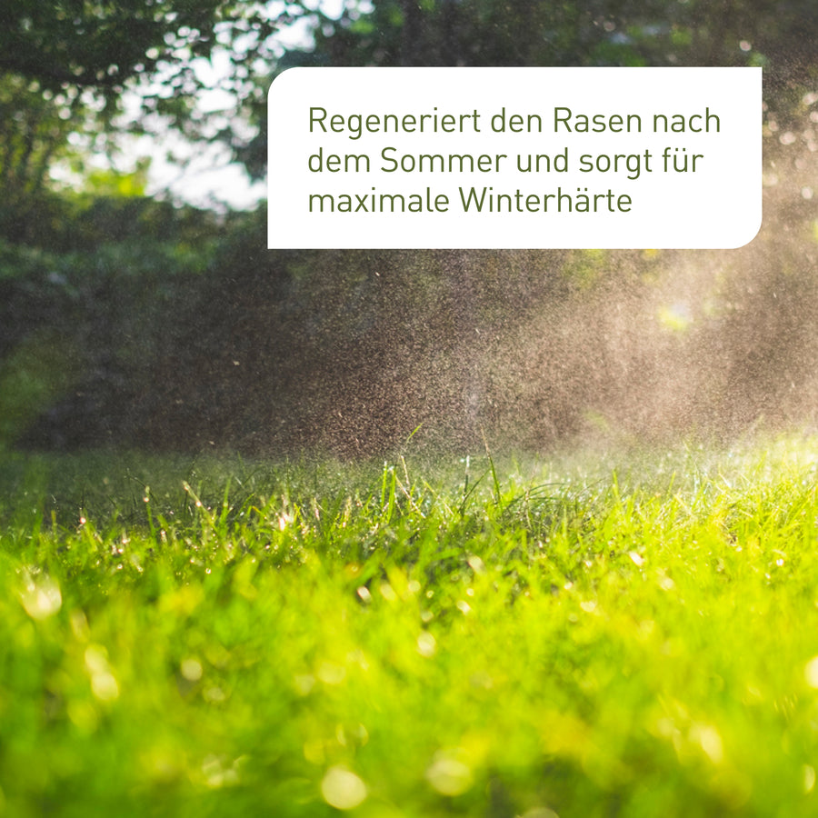 Bio-Herbstrasendünger für winterharten Rasen