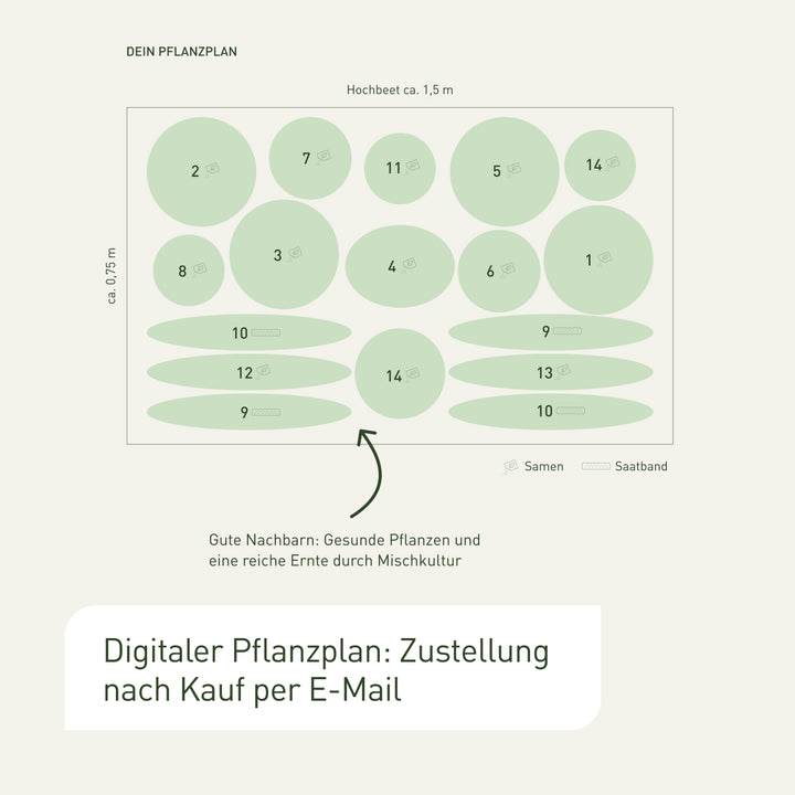 Hochbeet-Saatgut mit digitalem Pflanzplan