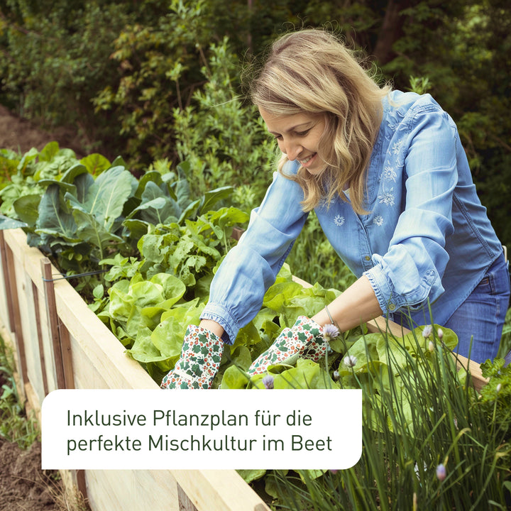 Hochbeet-Samen für Mischkultur