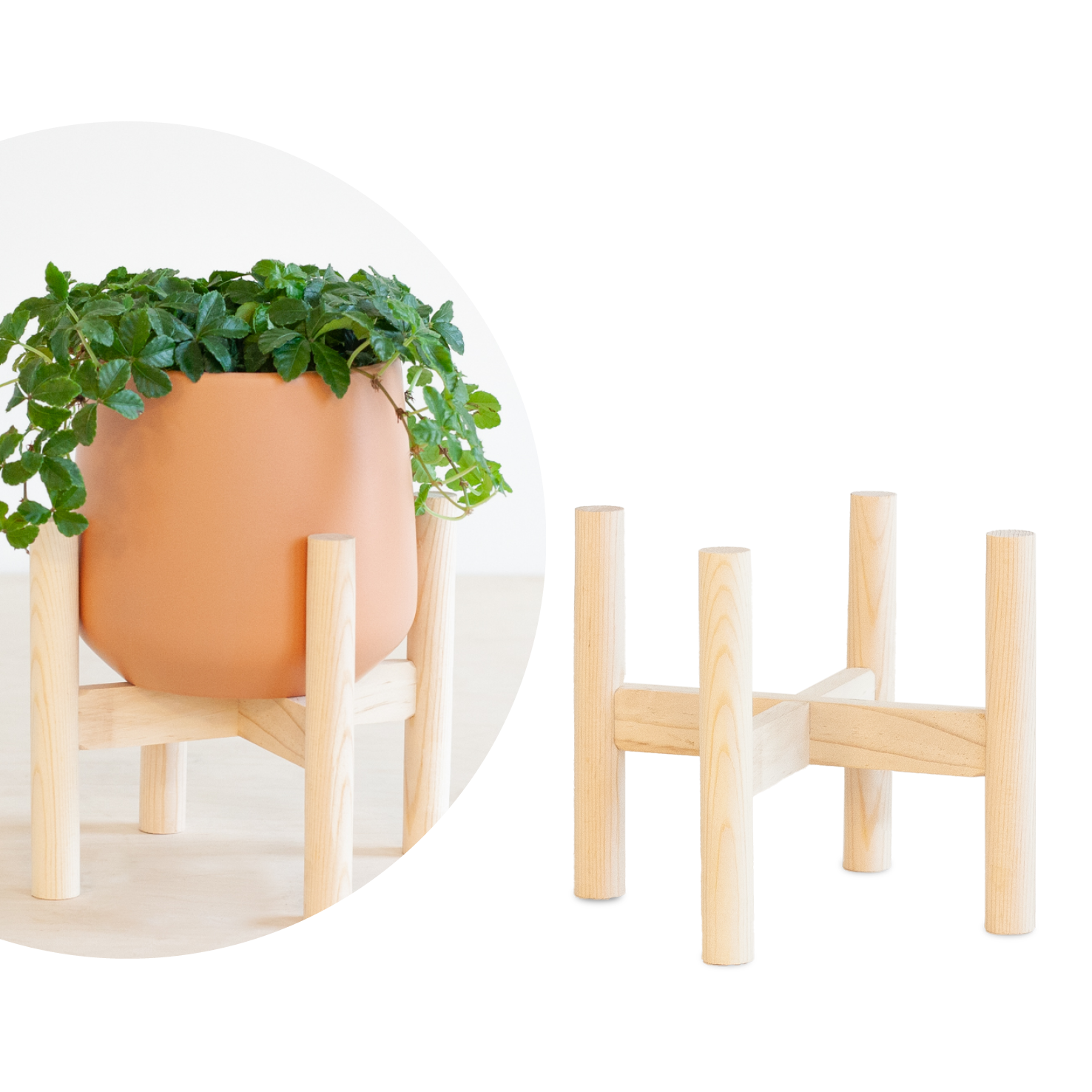 Holz Pflanzenständer kaufen