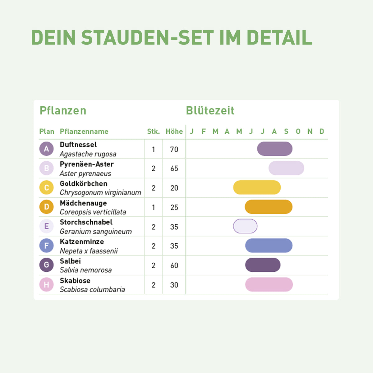 Inhalt und Blütezeit für Bienen-Staudenbeet