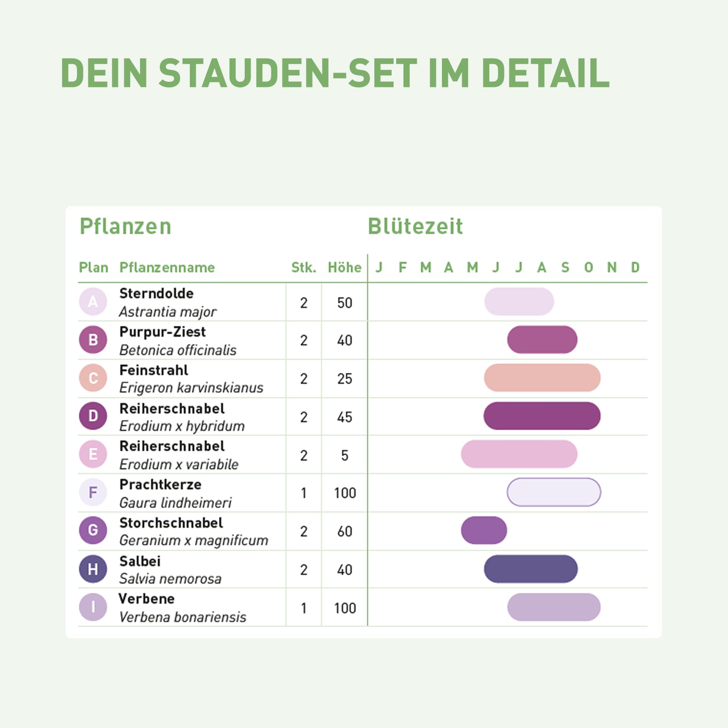 Inhalt und Blütezeit für Dauerblüher-Staudenbeet
